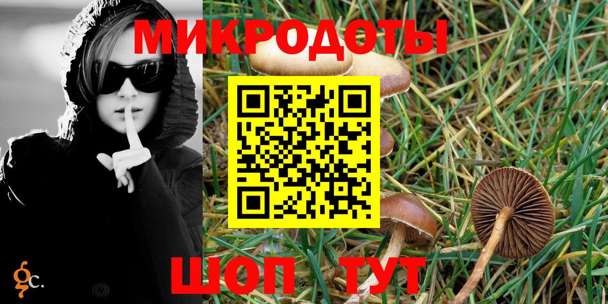 Алексеевка  Псилоцибиновые грибы Psilocybine cubensis  продажа наркотиков  Вход с VPN 
