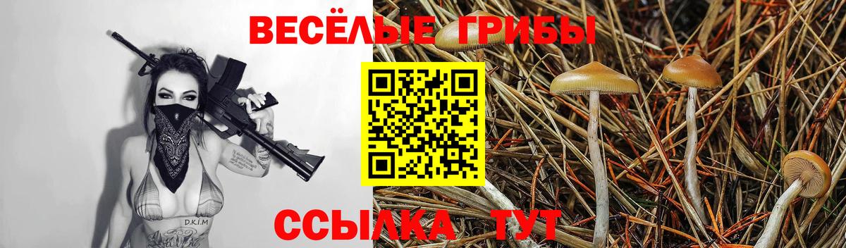 Галлюциногенные грибы GOLDEN TEACHER Алексеевка